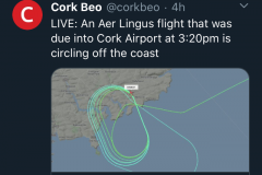 Cork-1