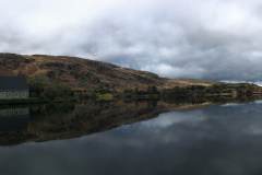 Cork-26