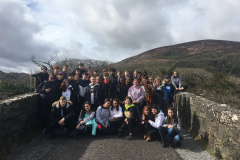 Cork-31