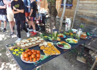 Projekttage „Schule fürs Leben“