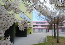 20 Jahre Imma-Mack-Realschule – Ein Fest voller Begegnung, Musik und Erinnerungen
