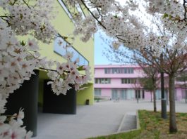 20 Jahre Imma-Mack-Realschule – Ein Fest voller Begegnung, Musik und Erinnerungen