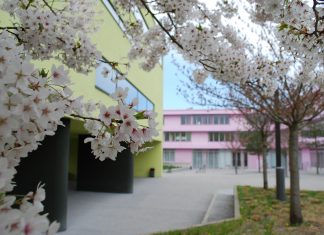 20 Jahre Imma-Mack-Realschule – Ein Fest voller Begegnung, Musik und Erinnerungen